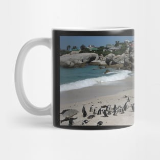 Boulders Beach, Table Mountain National Park, South Africa Mug